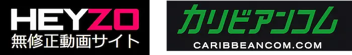HEYZOとカリビアンコムのロゴ - DTIグループが運営する安心の日本品質2サイト