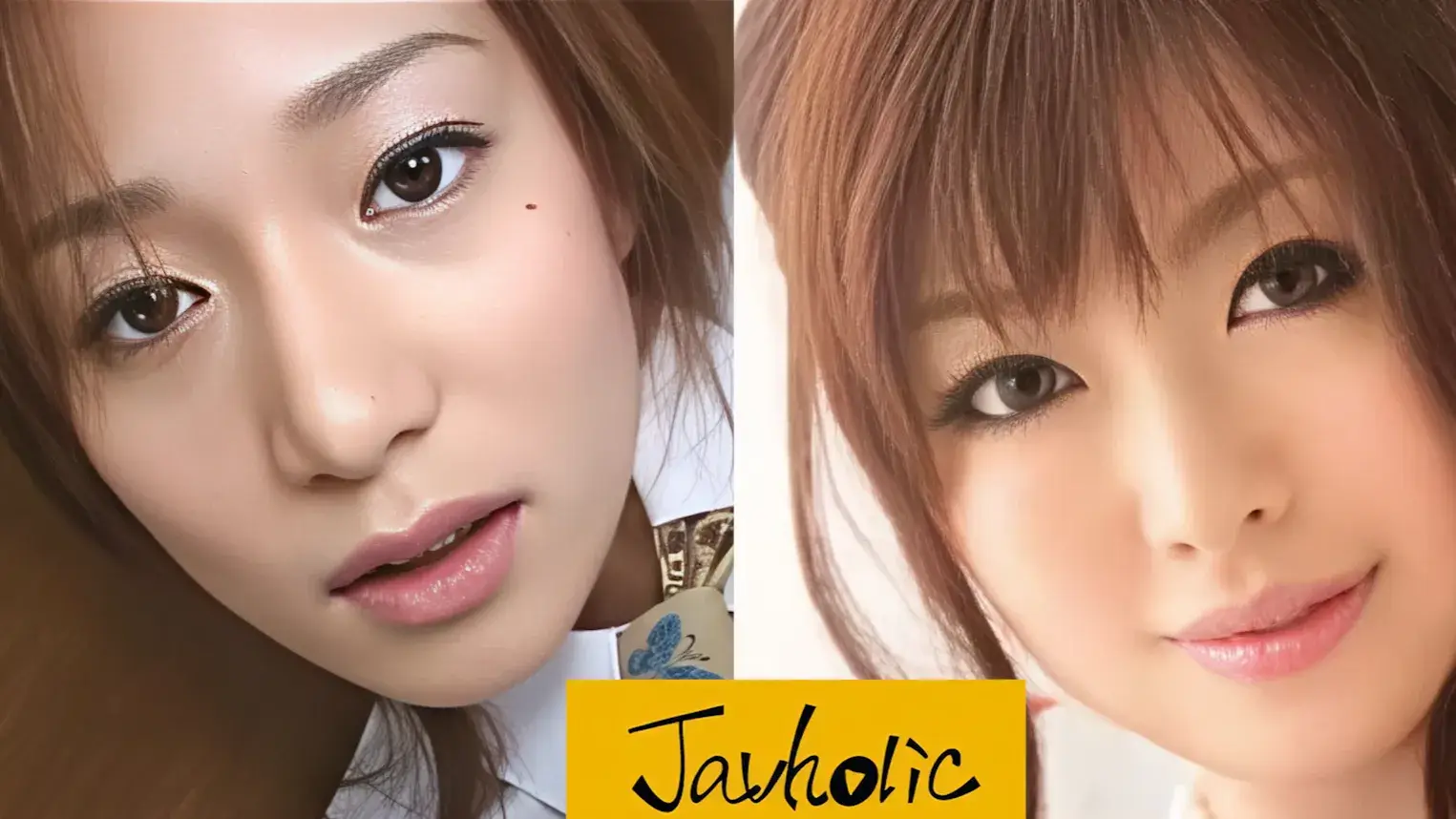 日本のAVが見放題のストリーミングサイト「JAVHOLIC」のコンテンツ紹介画像。様々な女優やジャンルの作品サムネイルがコラージュされており、サイトで視聴できる豊富な動画ライブラリをアピールしています。
